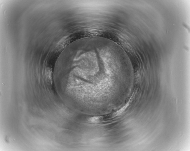 X0000093730178200710301051