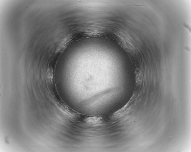 X0000093730179200710301051