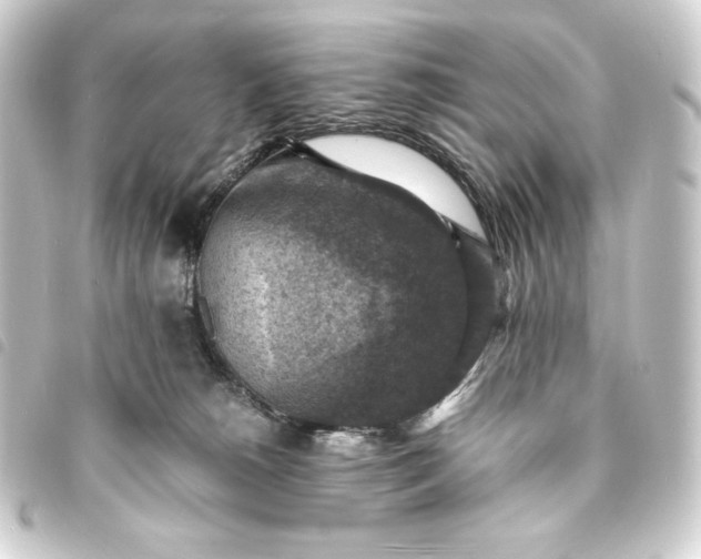 X0000093730180200710301051