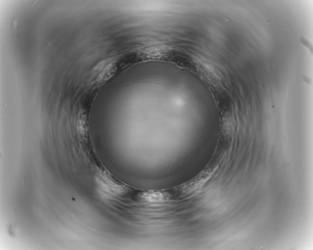 X0000093730181200710301051