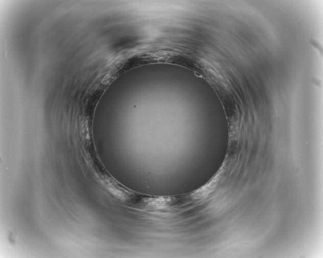 X0000093730182200710301051