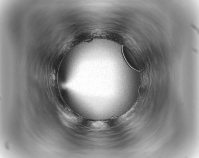 X0000093730183200710301051