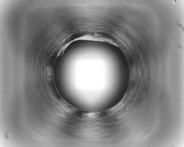 X0000093730184200710301051