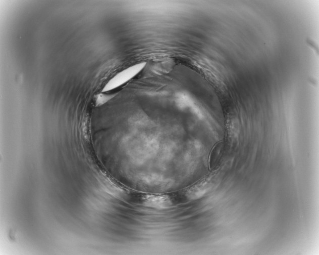 X0000093730185200710301051