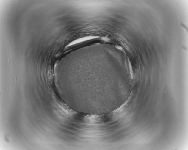 X0000093730186200710301051