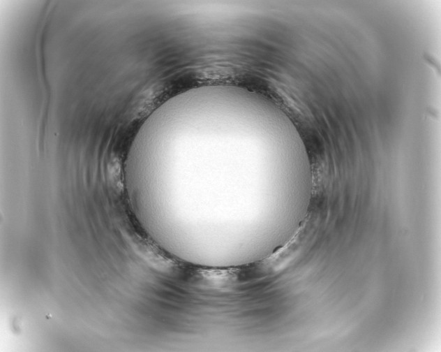 X0000093730187200710301051