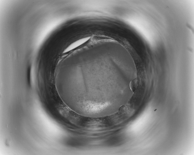 X0000093730189200710301051