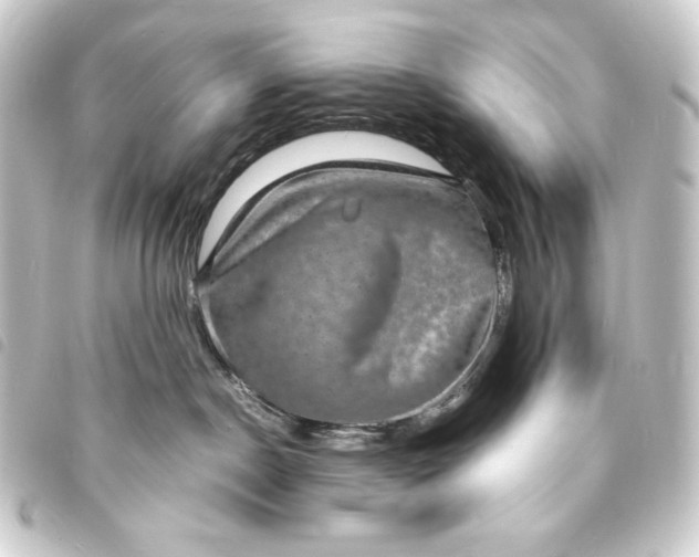 X0000093730190200710301051