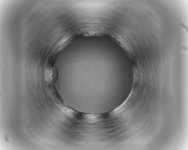 X0000093730191200710301051