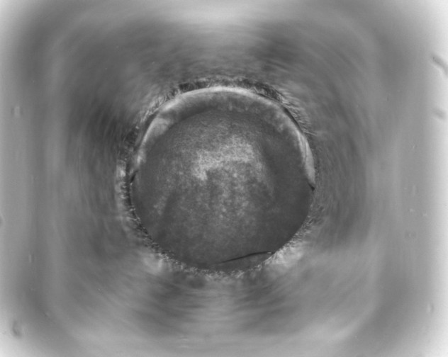 X0000093730192200710301051