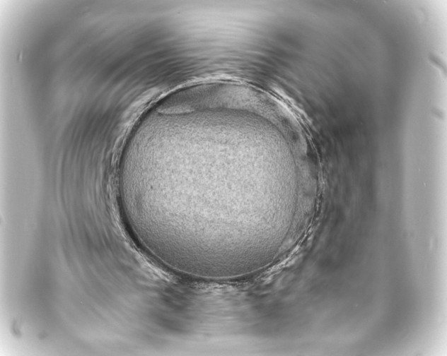 X0000093730193200710301051