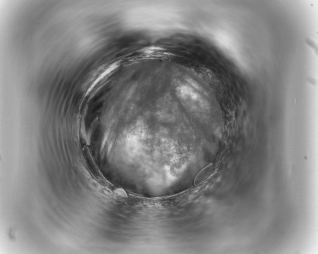 X0000093730194200710301051