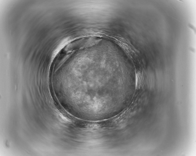 X0000093730195200710301051