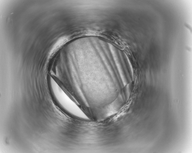 X0000093730197200710301051