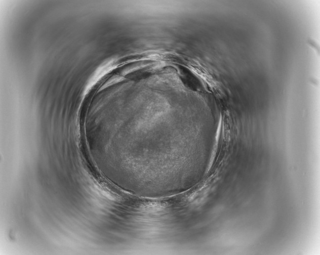 X0000093730198200710301051