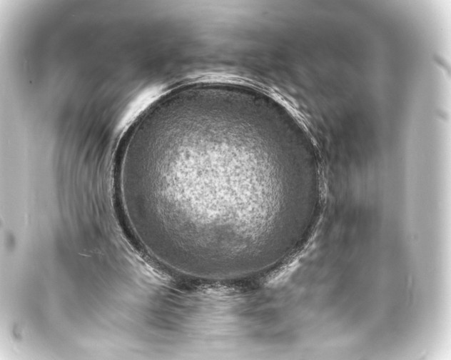 X0000093730199200710301051