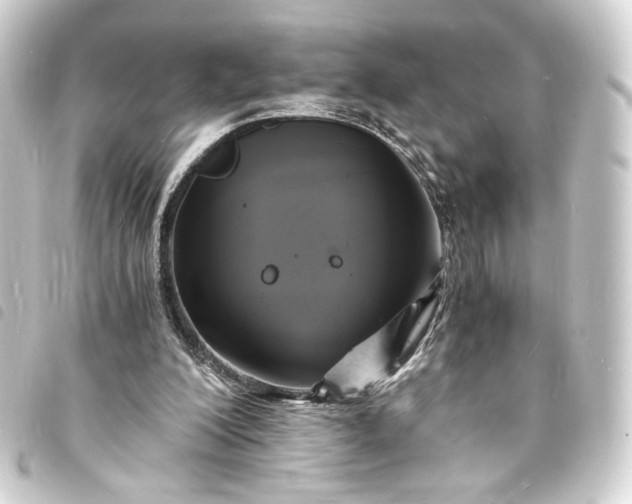 X0000093730200200710301051