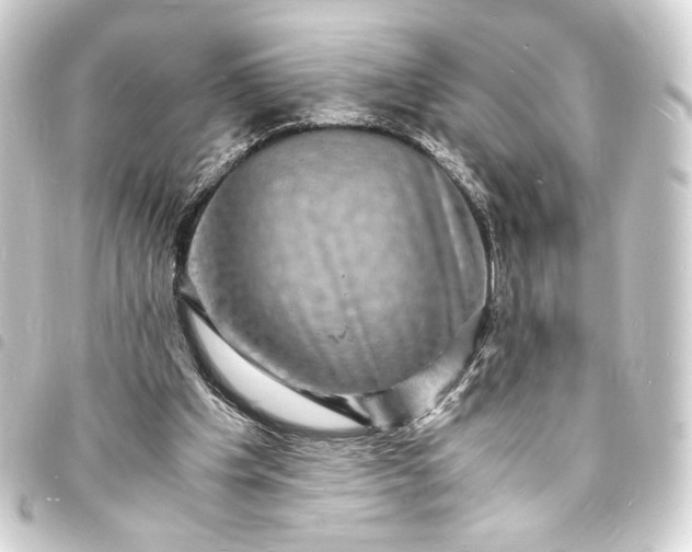 X0000093730201200710301051