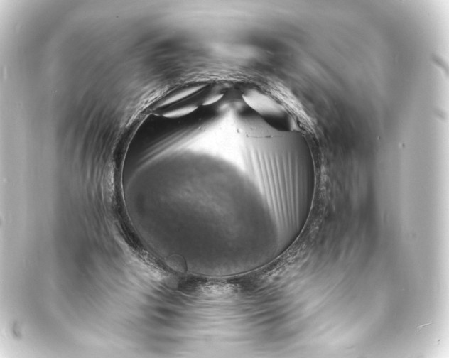 X0000093730202200710301051