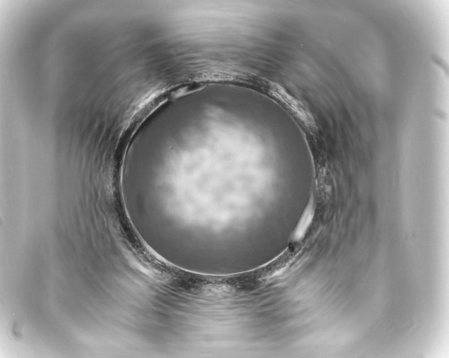 X0000093730203200710301050