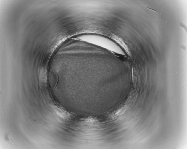 X0000093730204200710301050