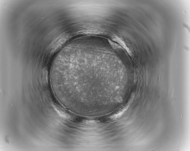 X0000093730205200710301050