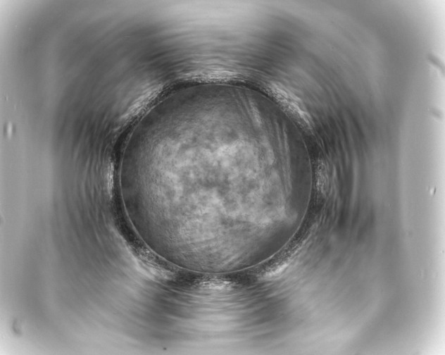 X0000093730206200710301050