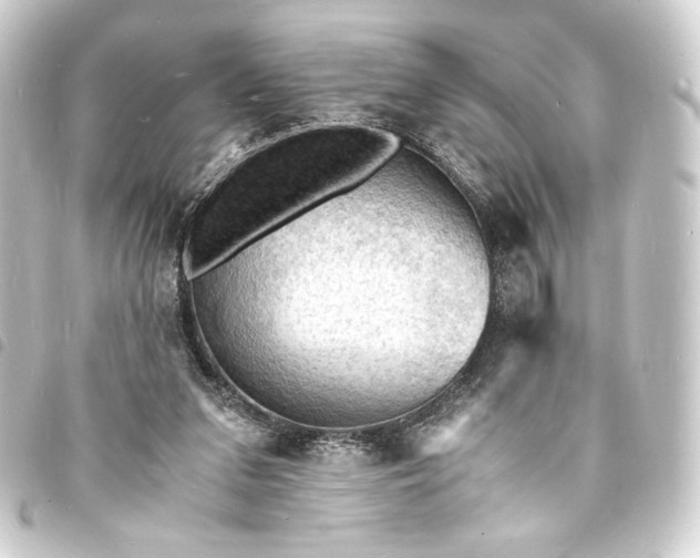 X0000093730207200710301050