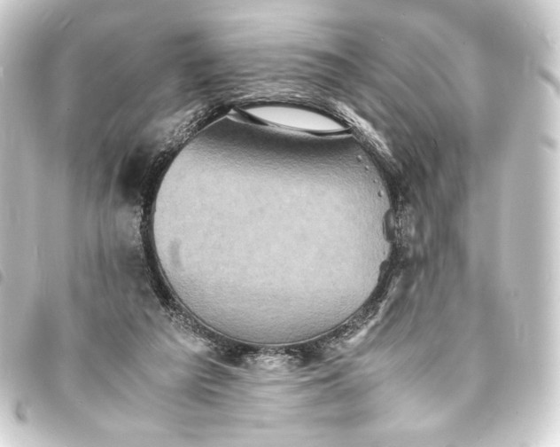 X0000093730209200710301050