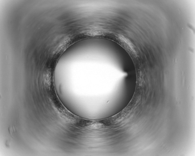 X0000093730210200710301050