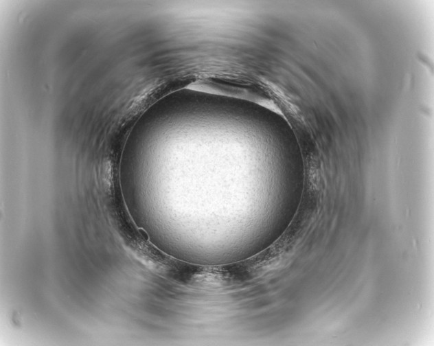 X0000093730211200710301050