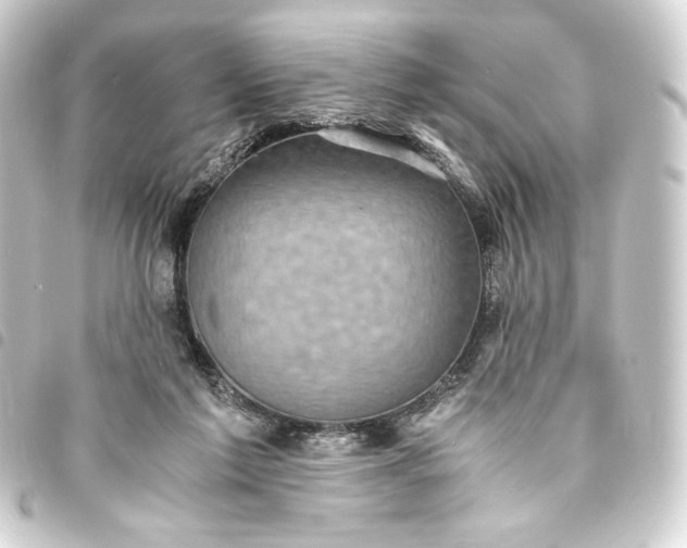 X0000093730213200710301050