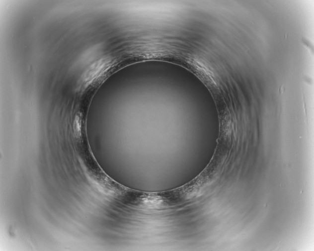 X0000093730214200710301050