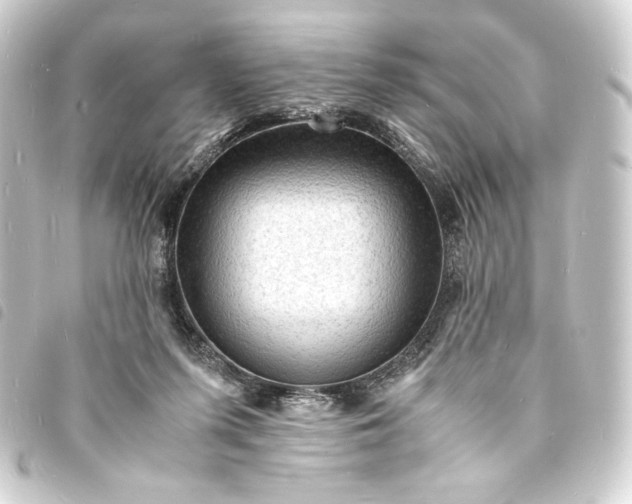 X0000093730215200710301050