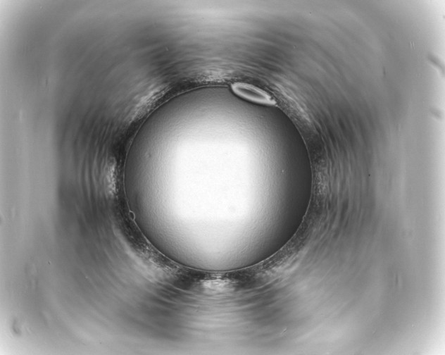 X0000093730216200710301050