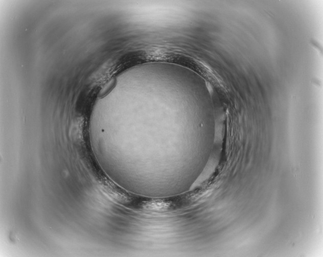 X0000093730217200710301050