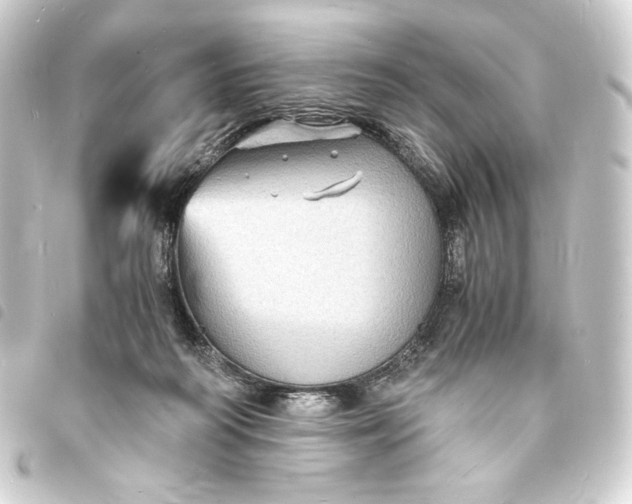 X0000093730218200710301050