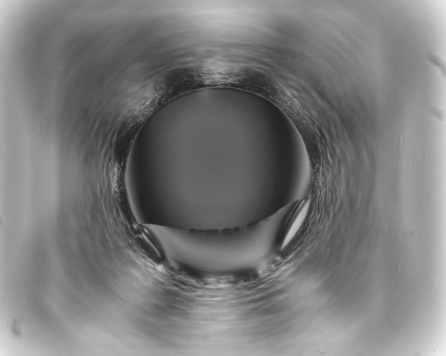 X0000093730219200710301050