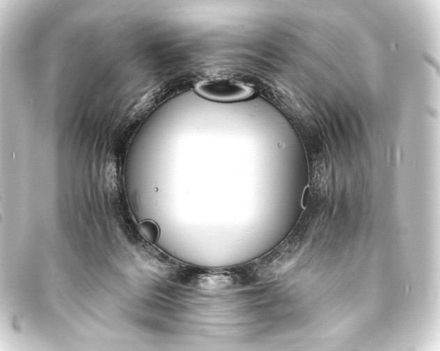 X0000093730220200710301050