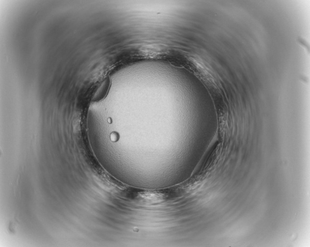 X0000093730221200710301050