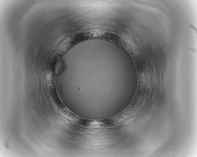 X0000093730222200710301050