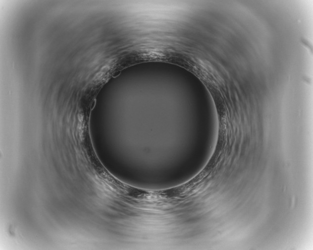 X0000093730223200710301050