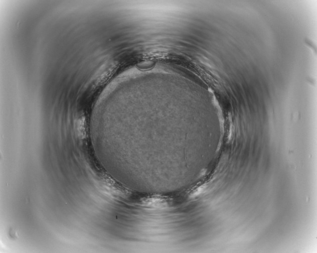 X0000093730224200710301050