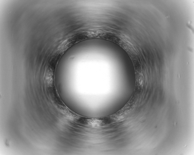 X0000093730226200710301050