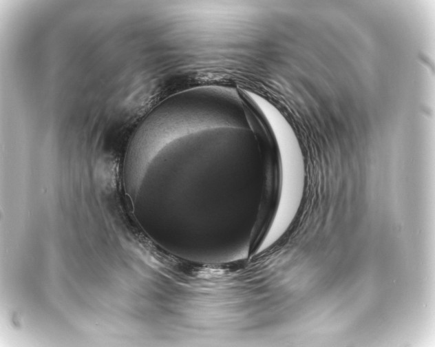 X0000093730227200710301050