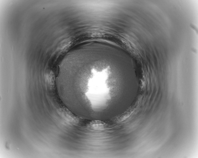 X0000093730228200710301050