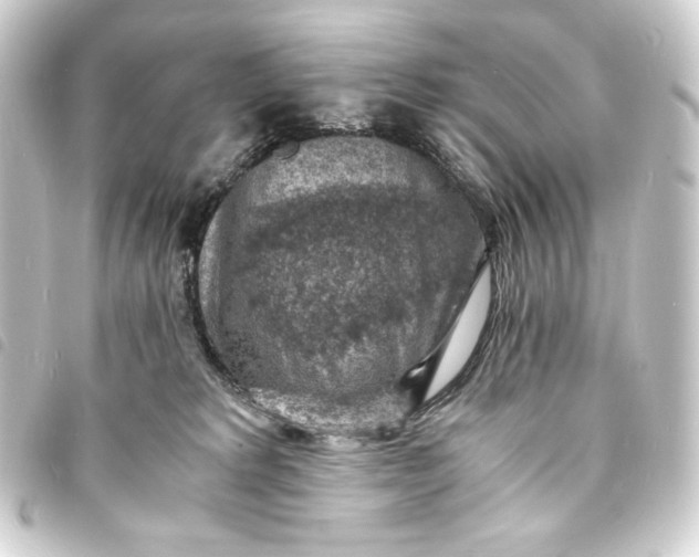 X0000093730229200710301050