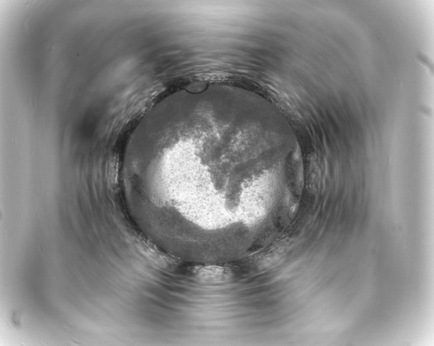 X0000093730230200710301050