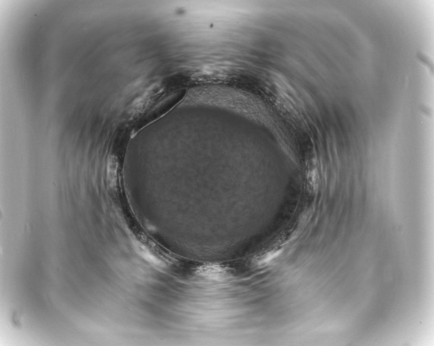 X0000093730231200710301050