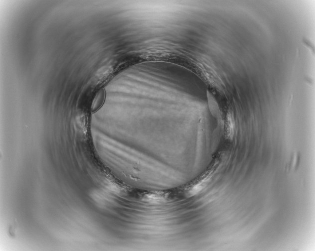 X0000093730232200710301050